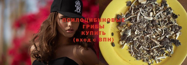 мдпв Нягань