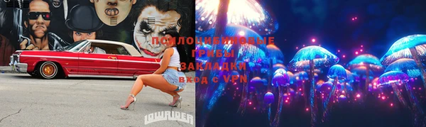 мдпв Нягань