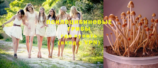 мдпв Нягань