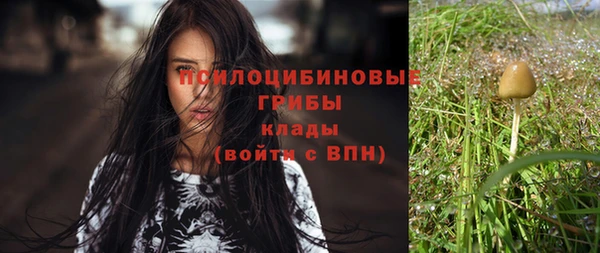 мдпв Нягань