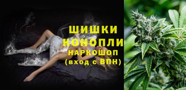 спайс Няндома