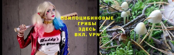 спайс Няндома