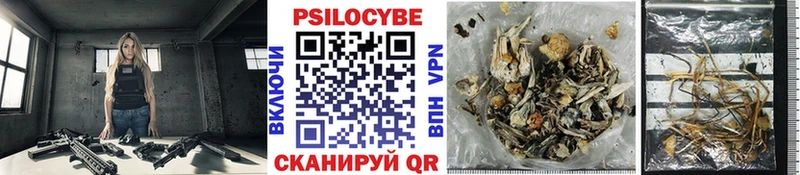 Галлюциногенные грибы Cubensis  Серов 