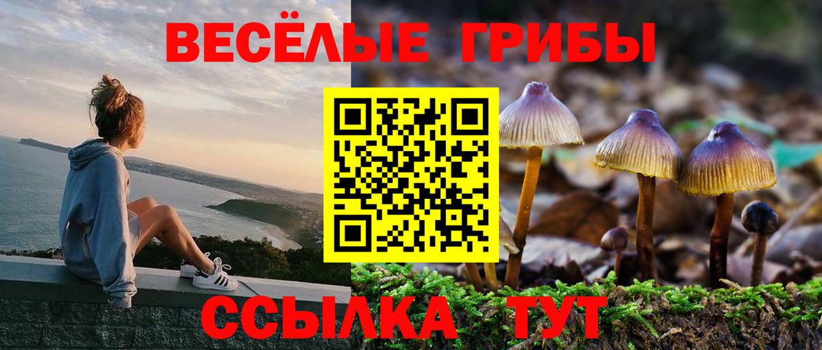 Псилоцибиновые грибы MAGIC MUSHROOMS Серов