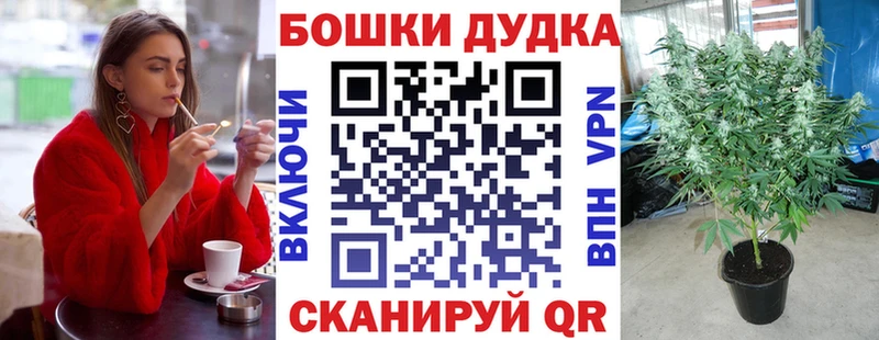 Конопля планчик  Серов 